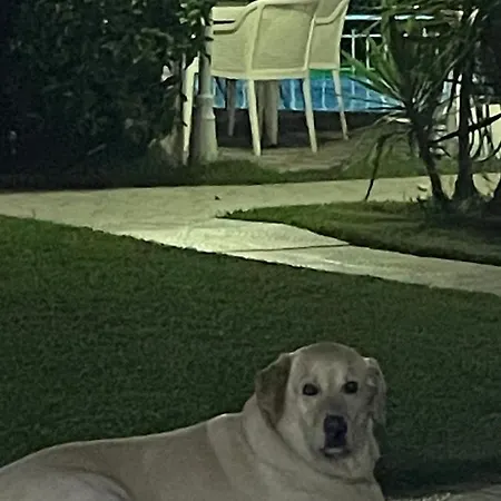 Belka Golf Poolside Deluxe 아파트 베렉