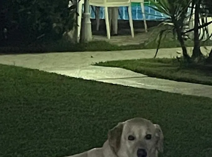 Belka Golf Poolside Deluxe דירה באלאק